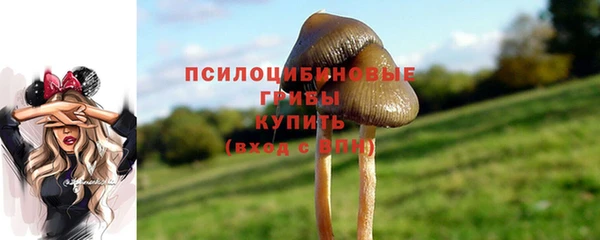 герыч Арсеньев