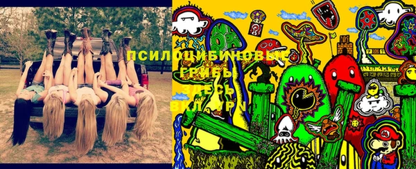 герыч Арсеньев