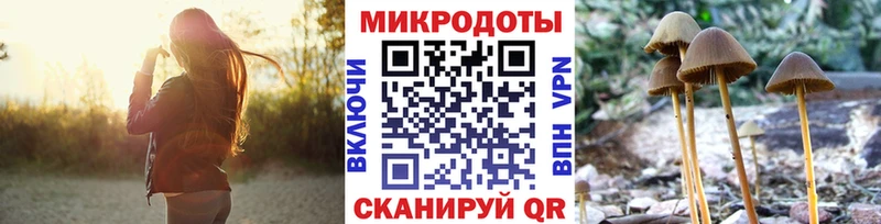 Купить где  Биробиджан  Галлюциногенные грибы Psilocybe 